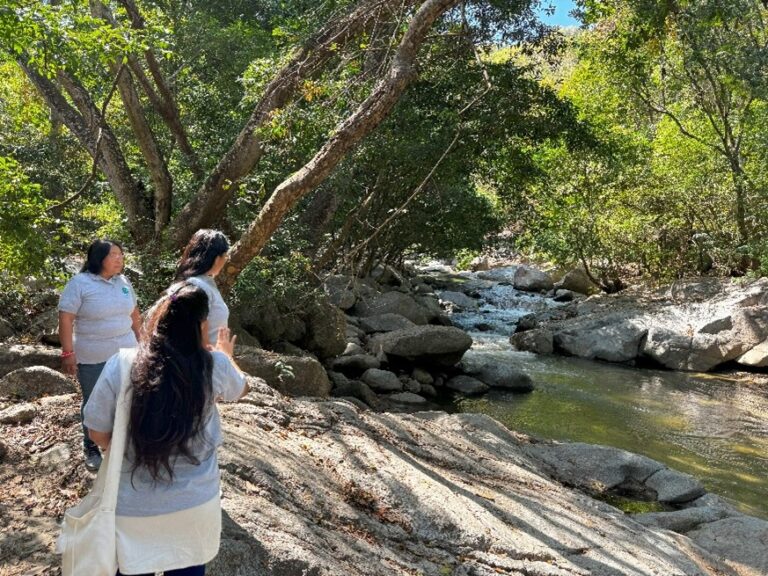 PROGRAM FOR THE CREATION OF A PROTECTED NATURAL AREA IN THE NARAKAJMANTA INDIGENOUS TERRITORY